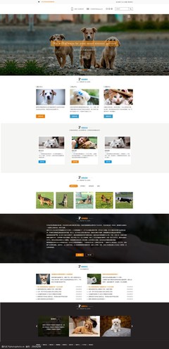 萌寵之家 打造用戶喜愛的寵物網頁設計模板指南